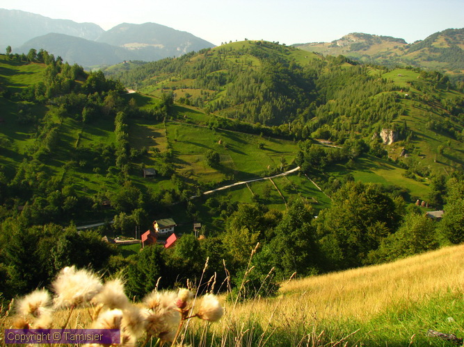 2008-09-01 16-13-23.JPG - 2008-RO>Ri Rucar